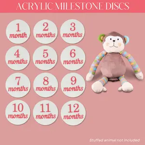Acrylic Baby Milestone Discs - Frosted Melon