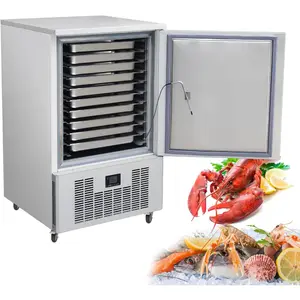 Kolice Commercial Restaurant 10 Trays Blast Chiller, Blast Freezer, Freezer, Chest Freezer for Hard Ice Cream, Fresh Meat, Chicken, Pastry, Fish in Hotels, Bars, Canteens, School, Bakery -40°F