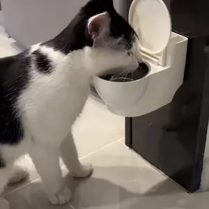 Funny Toilet-Shaped Cat Water Dispenser, Toilet Water Dish Pet Water Bowl, Drinking Water Bowl, No-Electricity Required, Ideal for Cats & Dogs, Automatic Water Bowl