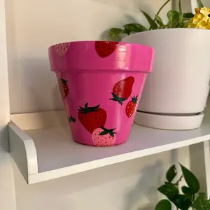 Strawberry Flower Pot