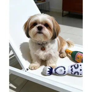 Funny Cute Durable Unique Dog Plush Toy With Squeaker For Small Medium Dogs - Cute Dog Gifts For Dog Birthday - Cute Dog Toy With Squeaky,Pet vocalization plush colorful enamel wine bottle shape dog cat cat pet plush vocal toy,Party Prop Toy ,Pet-Safe