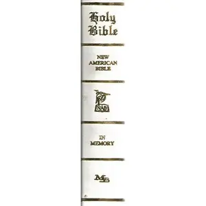 USED-The New American Bible--Illustrated Holy Bible (Catholic Memorial Edition, New American Bible) by NOT STATED (Hardcover)