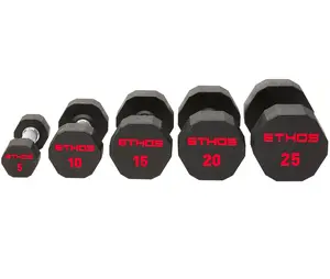ETHOS Rubber Hex Dumbbell - 55 lbs to 70 lbs.
