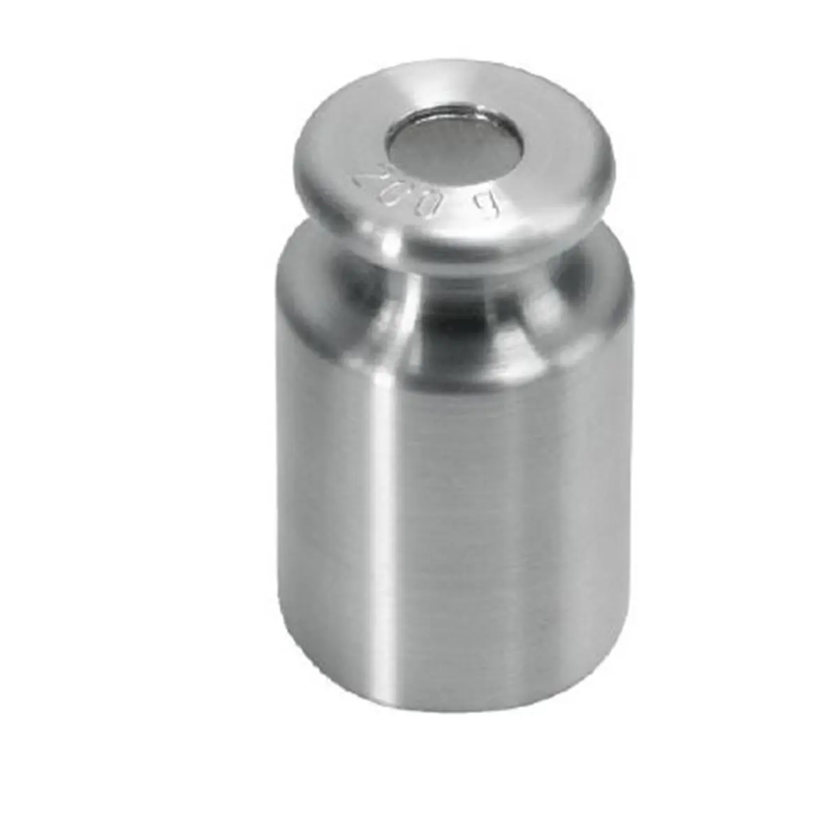 Kern 347-07 M1 Class Cylindrical Calibration Test Weight, 100g (0.22lbs), Stainless Steel with Finely Turned Brass, Lined Plastic & Weight Adjustment for Measuring Industrial Scales