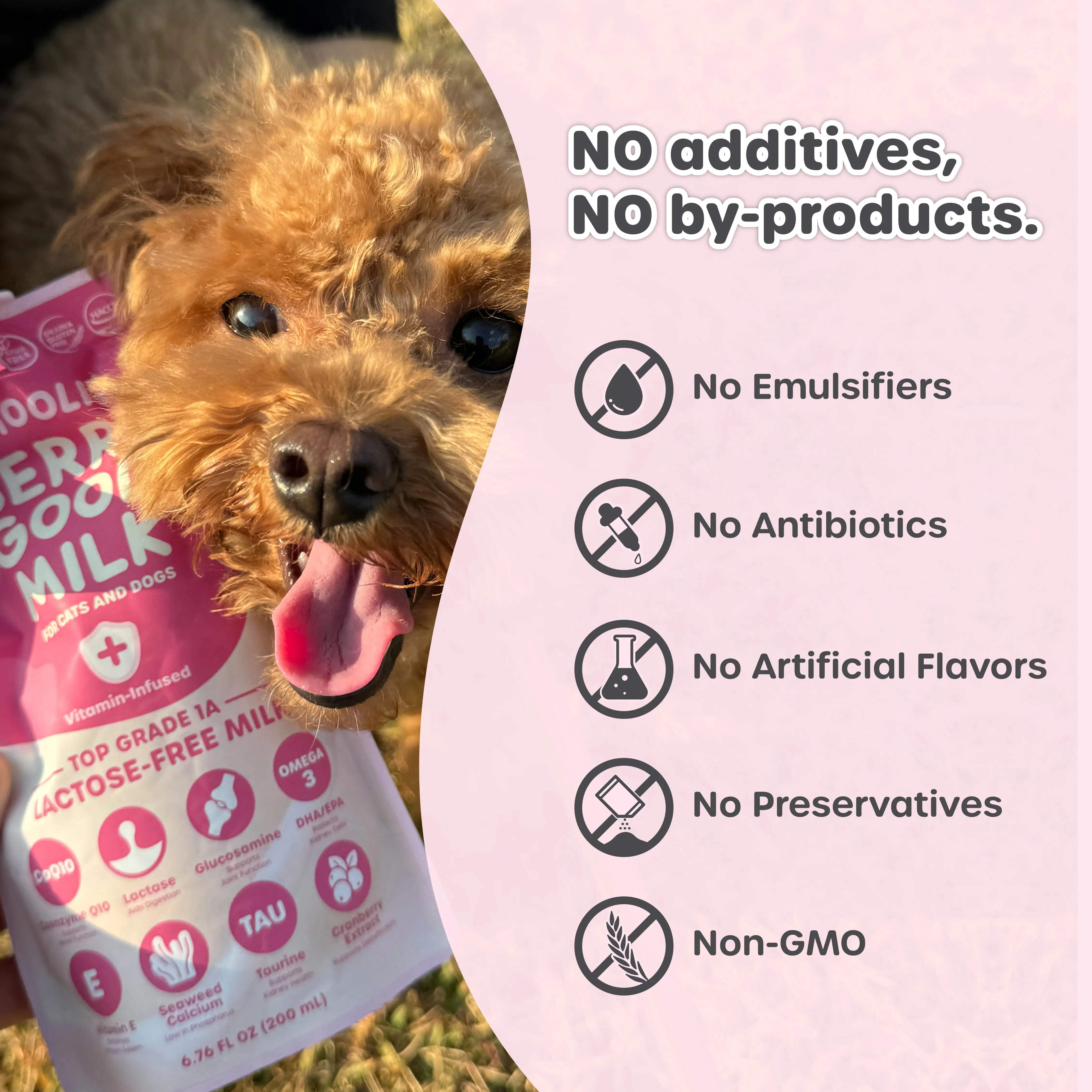 choolip Berry Good Pet Milk (3 Pack) – Hydrating Milk Treat for