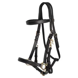 Billy Royal Deluxe Trail Halter Bridle Combo