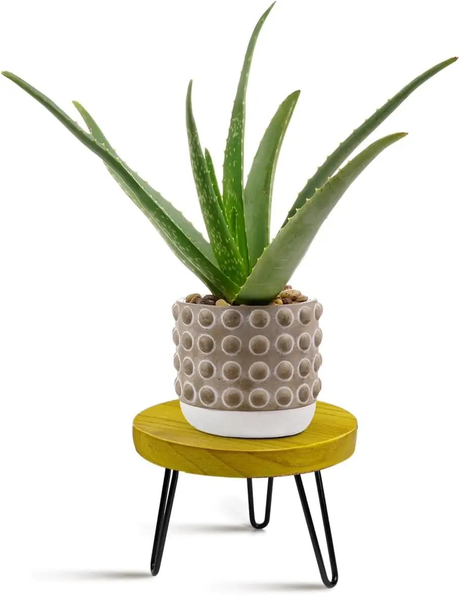 Stand Indoor Outdoor, Wooden  Stool, Mid Century  Stand for Indoor ,  Modern  Holder Rattan Flower, Low Short Boho Rustic Planter Stand Fit 5-15 Inch Pot(M)