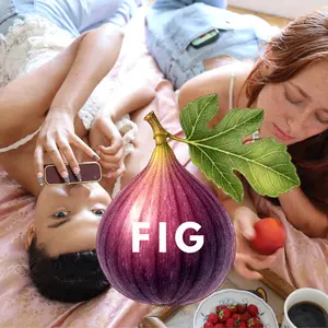 Fig Solid Fragrance Pod - Aroma Flower with Purple Color and Floral Aroma