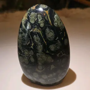 Kambaba Jasper free form Natural Black with Green and Yellow Patterns Unique Decorative Stone for Home and Office