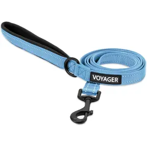 Voyager Reflective Dog Leash or Collar with Neoprene Handle, for Small, Medium and Large Breed Puppies, Cute Heavy Duty for Walking, Running and Training - Baby Blue (Leash), S