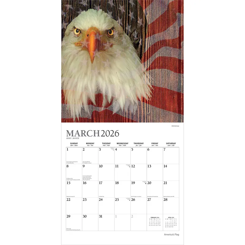America's Flag | 2026 12 x 24 Inch (Hanging) Monthly Square Wall Calendar | Foil Stamped Cover | Plato | USA United States of America 2