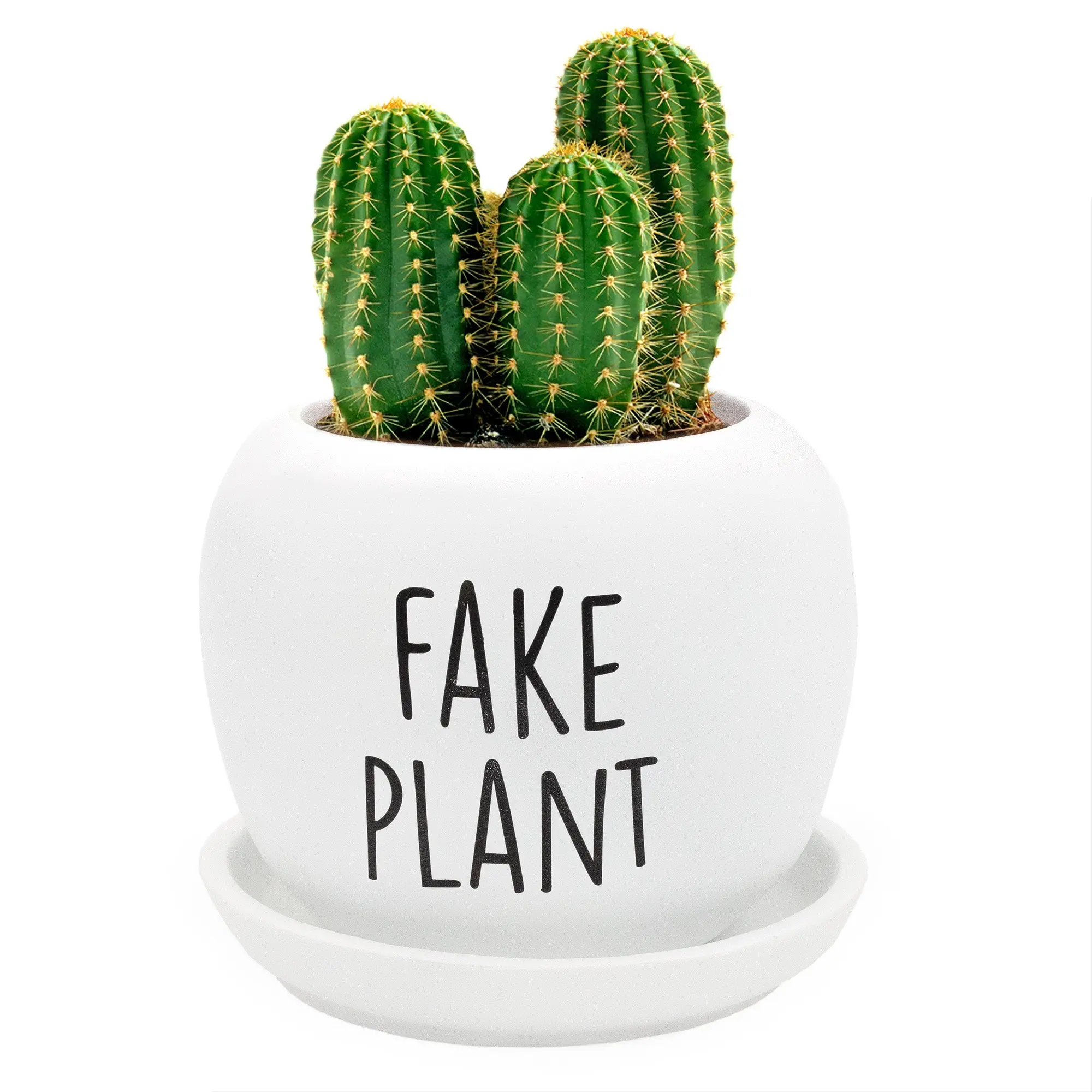 Fake Plant Planter Pot