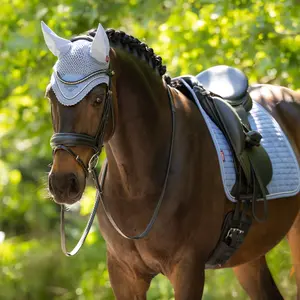 IT08265 LeMieux Classic Fly Hood - Powder Blue