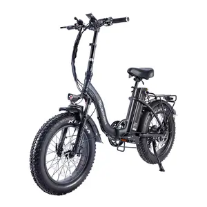Socal Flyers Electric Bike - 750W Motor, 48V Battery, 20MPH Speed, PAS Range, Smart Foldable, Urban Commuter, Active Style fatboy  bmx Retro Fat Tire Electric Bike with Cruise Control affordable  bikes