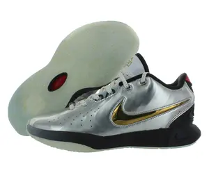 Nike Lebron XXI Se GS Boys Shoes