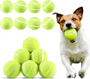 20 Pieces Dog Tennis Balls 2 Inch Mini Tennis Balls for Small Dog Pet Fetching Toy Rubber Felt Training Toys for Puppy Pet Playing Exercise and Practice(Yellow)