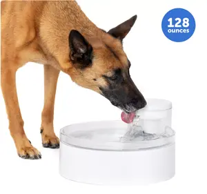 PetSafe White Outlast Pumpless Pet Water Dispenser – 128 fl oz Indoor Water System for Dogs & Multiple Cats