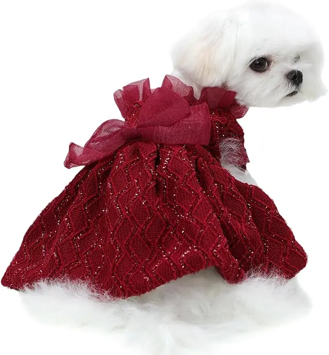 pink dog dress - TikTok Shop