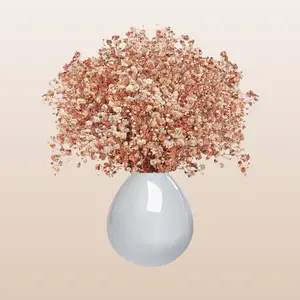 Baby's Breath Peach Gypsophila Tinted Bunch 250gr 8-10 Days Vase Life 25 Inches Stem Length Perfect for All Seasons