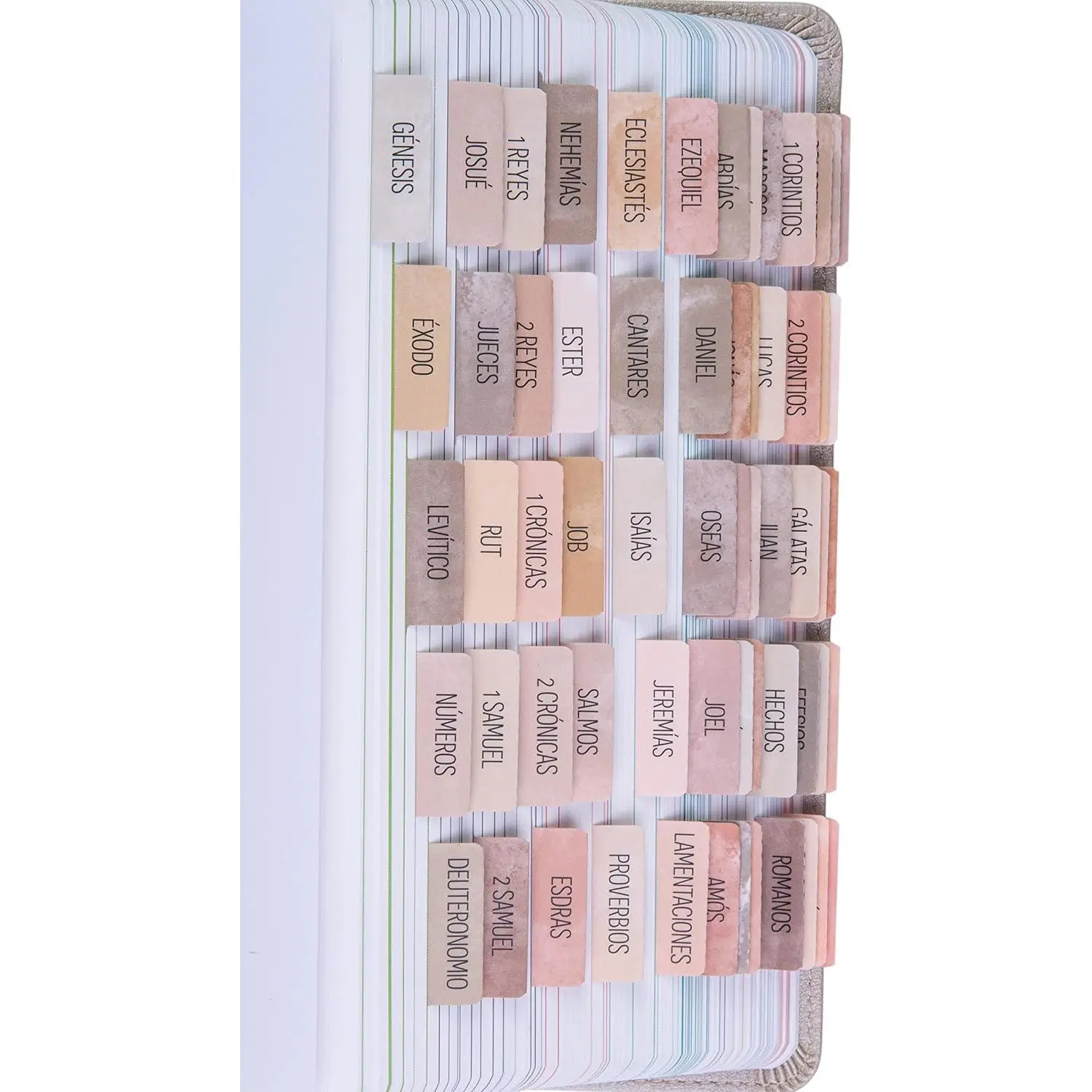 Christian Journaling Book Index Dividers - 66+tabs, Matte Laminated for Protection, Peel-Stick, Easy to Apply, Durable, Old & New Testament, Catholic Books Compatible, 9 Blank Tabs, Alignment Guide Included (Paz)