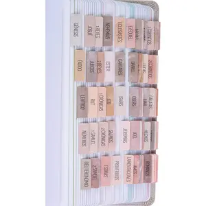 Spanish  Tabs (Large Print, Easy to Read),  Journaling Book Tabs, Christian , 66  Tabs Old and  Testament, Includes Catholic Books and 9 Blank Tabs (Paz)