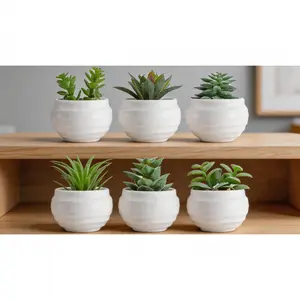 6 Artificial Succulent Plants in Pots, Decorative Small Fake Plants for Bedroom, Office Desk - Fishing & Outdoor Leisure Decor Accessories SURE