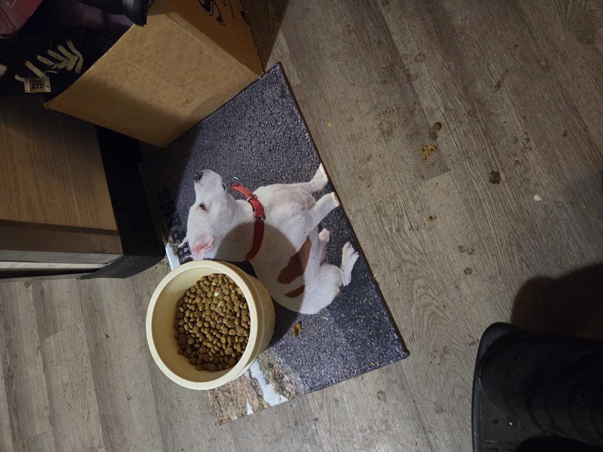 Item: 15.75" x 23.62" (40cm x 60cm)