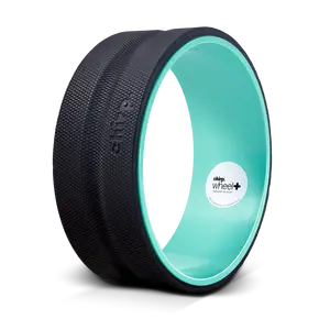 Chirp Wheel+ 12" Gentle