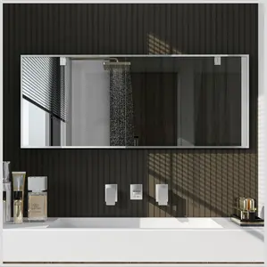 Eviva Sax 72" x 30" Rectangular Brushed Nickel Metal Framed Mirror