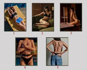 Dakota Johnson - Sexy Poster for 2026 Poster