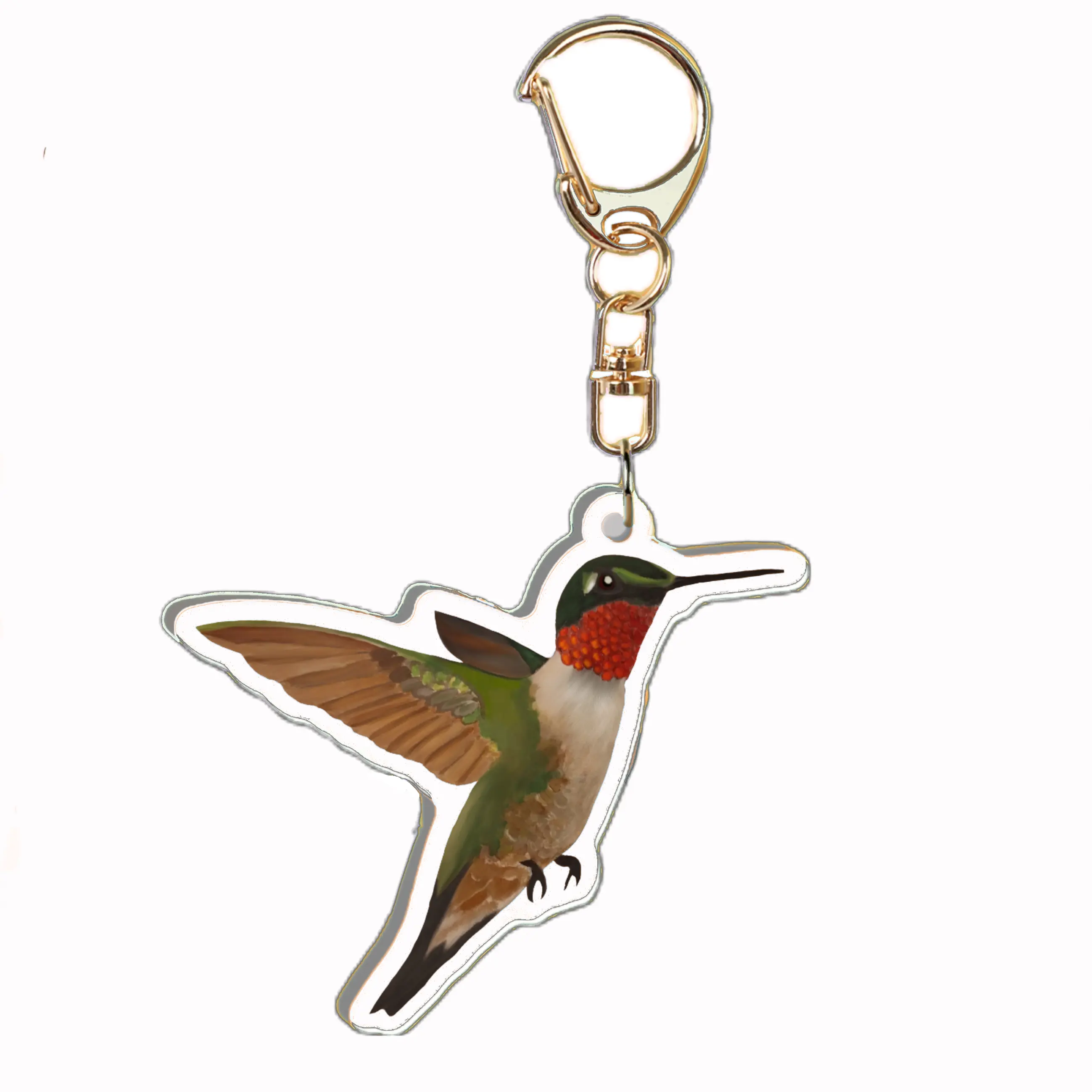 KT Key Chain Creations Realistic Ruby-throated Hummingbird Acrylic Keychain - Lobster Clasp, Double-Sided, with 5 Educational Fun Facts Tag for Nature Lovers