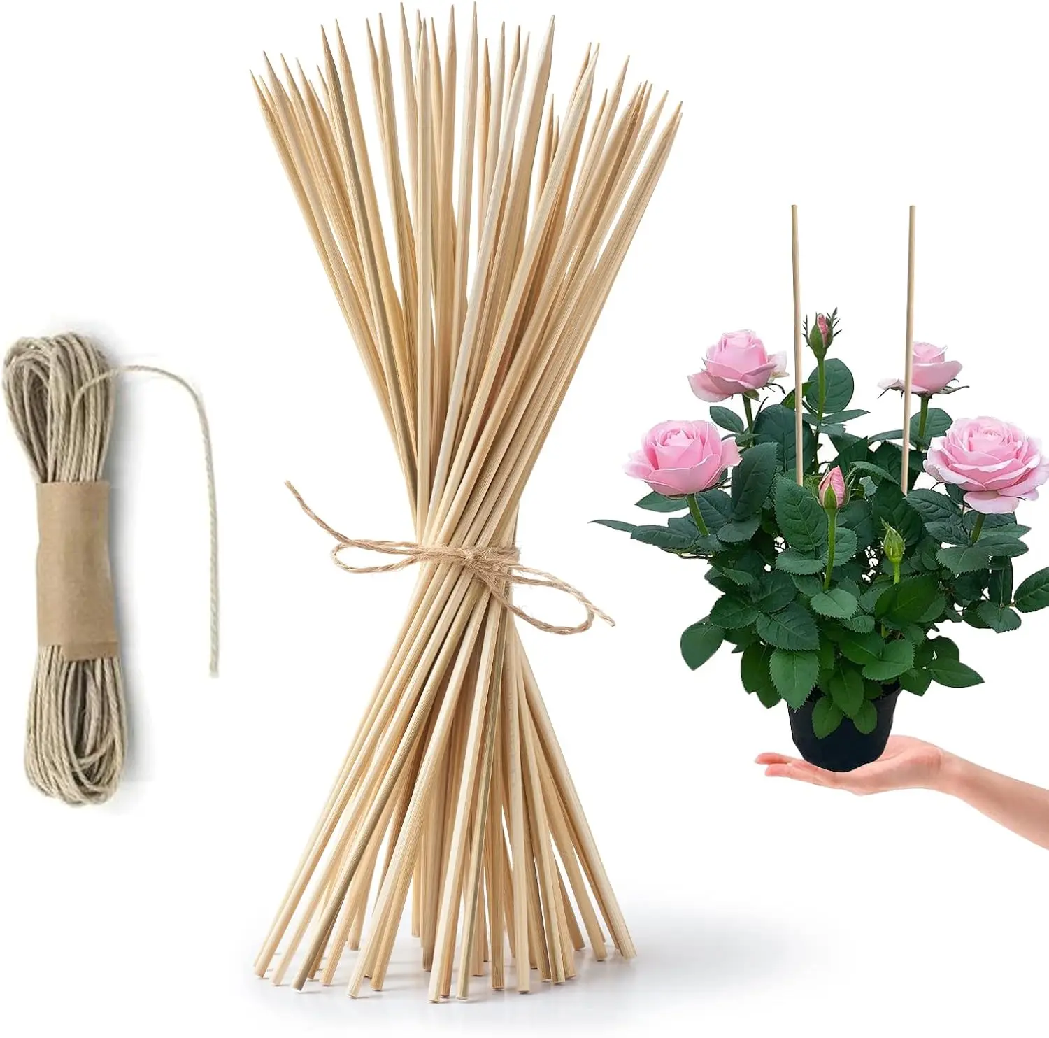Pack 12" Bamboo Plant Stakes for Wood Garden Sticks，Wooden Plant Supports，Indoor Gardening Plant Supports，Floral Plant Support ，Potted Plants，Crafts, More Size Choices 8"/12"/16"