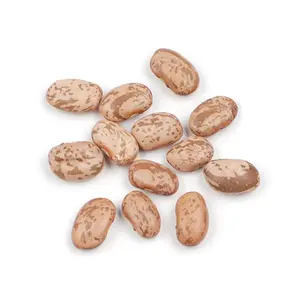 Woodland Foods 004250 Pinto Beans, 25 Pound Box