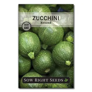Round Zucchini