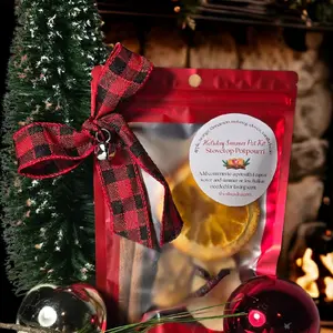 Christmas Stovetop Potpourri - Winter Holiday Simmer Pot Kit - Natural Home Fragrance - Apple Orange Cinnamon - Cozy Housewarming Gift
