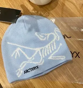 Arc'teryx Bird Head Toque Beanie - Light Blue - Merino Wool Winter Hat, Classic Outdoor Knit Beanie Black Warm Winter Cap for Men Women