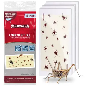 CricketXL Cricket Patterned Glue Board Traps CricketXL Cricket Patterned Glue Board Traps