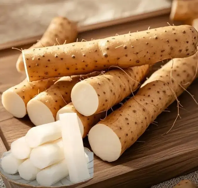 Chinese Yam Seeds – Nutritious Vegetable Seeds for Gardeners, High Yield, Fast Growing, Easy to Grow for Both Indoor/Outdoor Use, Ideal for a Healthy Diet