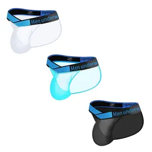 Men Transparent V-Belt Briefs Bikini Mesh Male Underpants Large Crotch Pouch Sport Men Brief Low-rise Design Menswear Athletic Breathable