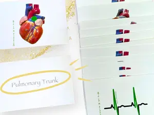 The Heart Anatomy Flashcards