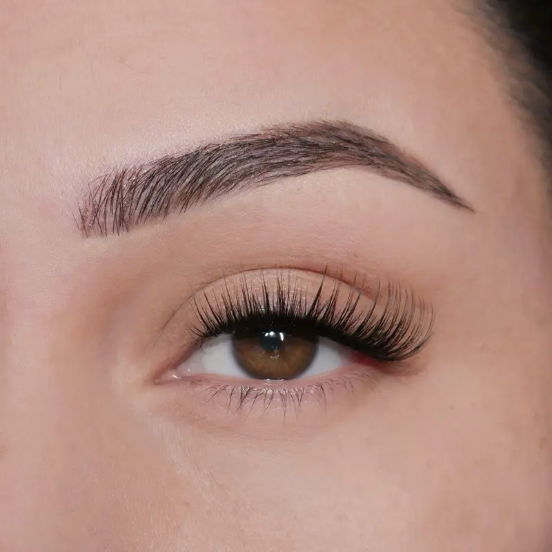 Virgo self adhesive lash