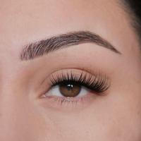 Virgo self adhesive lash