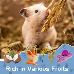chezpiupiu Garden Fruit & Vegetable Hamster Food Natural Small Pet Food Made for Hamsters 1LB