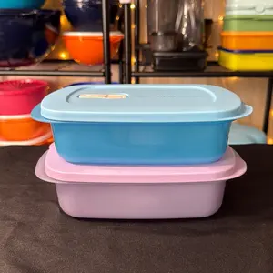 Tupperware Micro Flash Rectangular Container