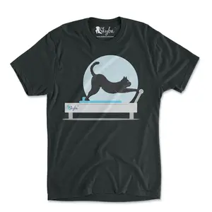 Stretching Cat on Reformer - Tri-Blend Unisex Tee