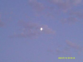 product review image from naomiugh 1