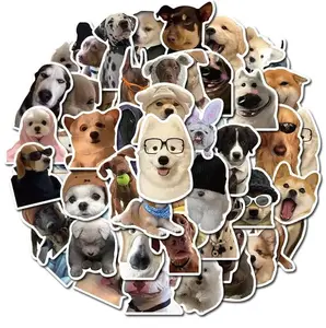 Random 5  Stickers Cute And Funny Meme