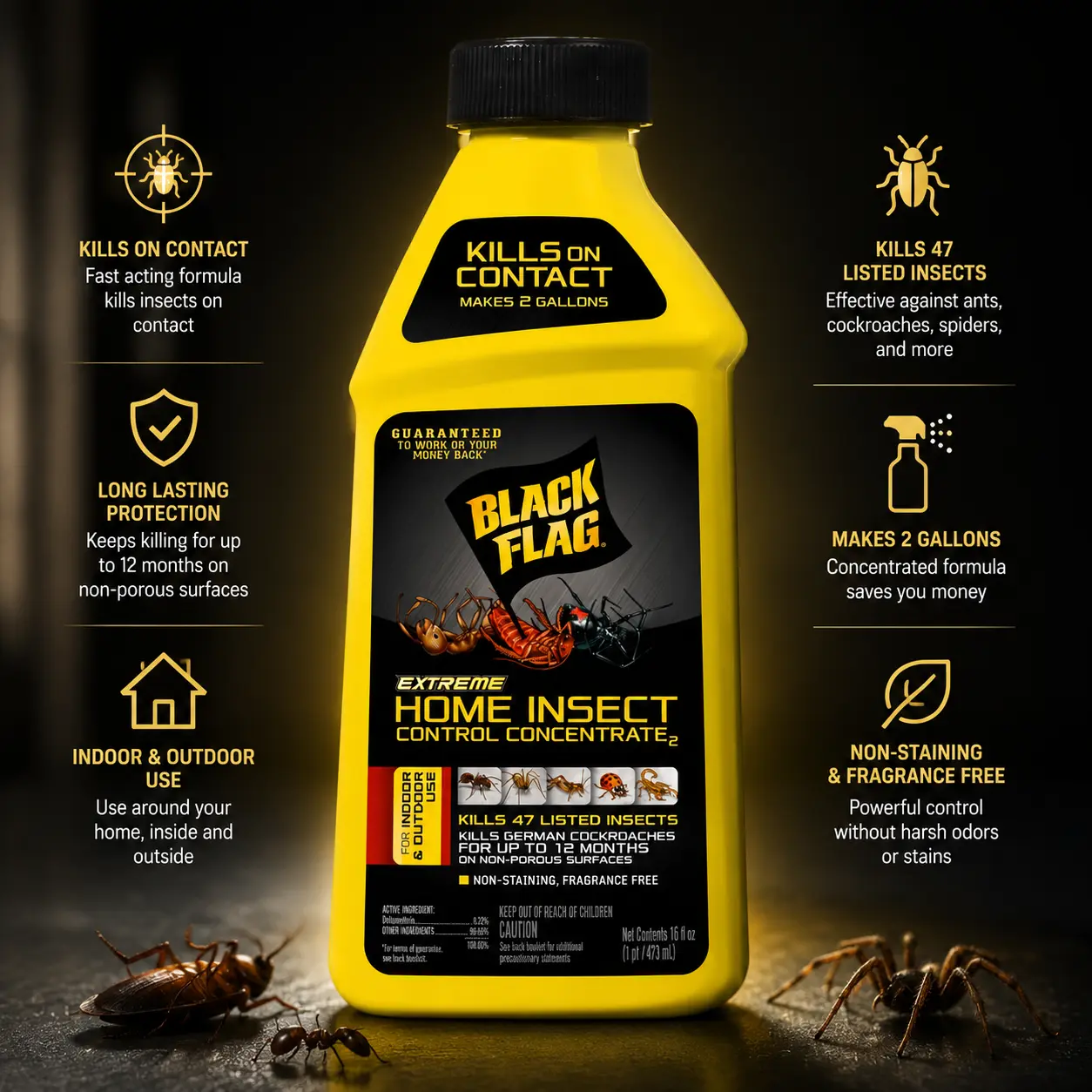 Black Flag Extreme Household Insect Control Concentrate, 16 oz Single Bottle, Indoor-Outdoor Spray, Kills Fast Ants Centipedes Scorpions German Cockroaches, For Bathrooms Cracks Basements, Makes 2 gal Gel Bait Insecticide