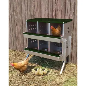 Green Chicken Nesting Box for Laying Eggs, Roll Away Chicken Laying Boxes, Roll Out Nesting Boxes for Hens, 6 Compartments with Legs-C