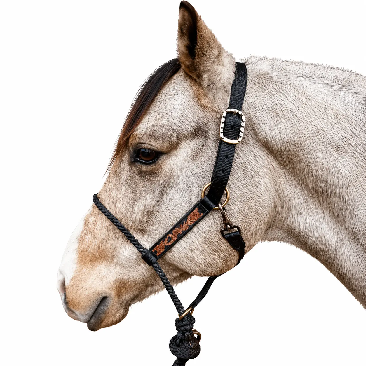 Western Lariat Nose Halter with Floral Tooled Leather, Comfortable Nylon Tack for Average Horses, Includes Removable Lead Rope and Copper-Colored Hardware, Western Elegance, Comfortable And Secure Fit, Floral Tooling, Removable Black Lead Rope